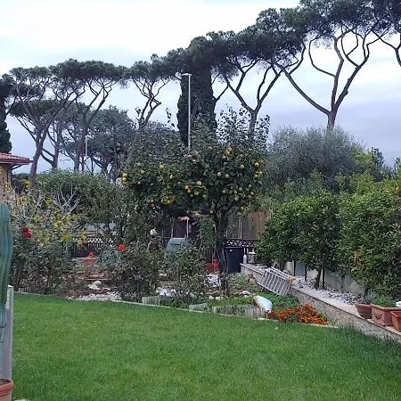 Nonna Genoveffa, Homestay