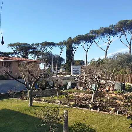 Nonna Genoveffa, *